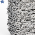 100m Popular Popular Hot Dipped Galvanized Wire